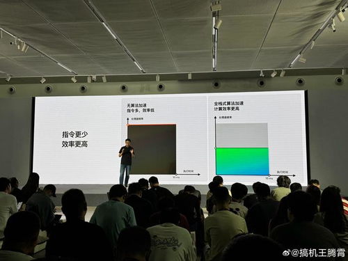 ColorOS 15流暢雙引擎技術(shù)溝通會 信息技術(shù)咨詢服務(wù)的深度洞察