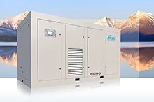 臺(tái)灣捷豹永磁變頻二級空氣壓縮機(jī)ZLS175 2i